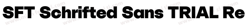 SFT Schrifted Sans TRIAL Regular Co字体转换